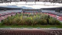 Foto: Hutan di Dalam Stadion Sepakbola