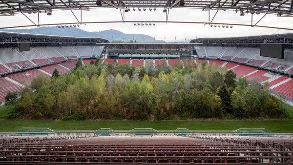Foto: Hutan di Dalam Stadion Sepakbola