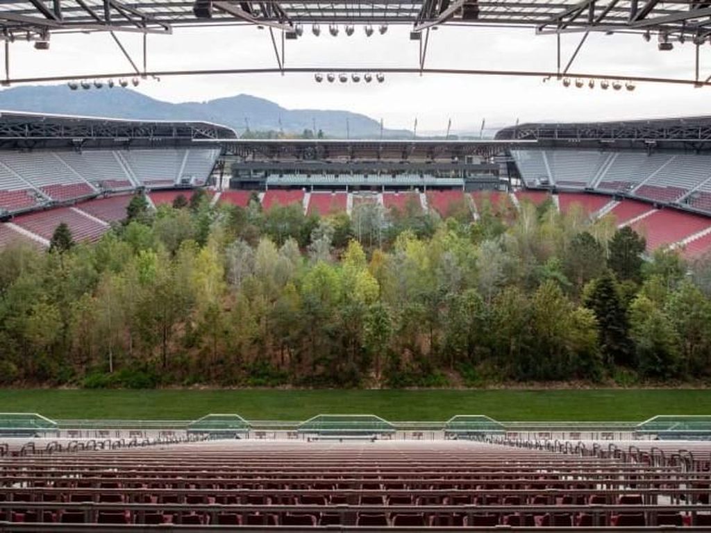 Foto: Hutan di Dalam Stadion Sepakbola Foto: Hutan di Dalam Stadion Sepakbola