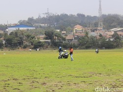 Kemarau Panjang, Situ Ciburuy Menghijau Bak Lapangan Bola