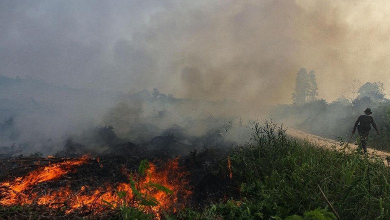 9 Pembakar Lahan di OKI Sumsel Ditangkap