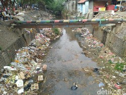 Bogor Minta Bantuan Bersihkan Kalibaru, Dinas LH DKI Tunggu Perintah Anies