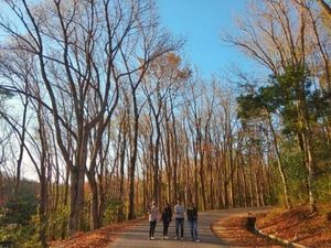 Soe, Kota Dingin di Indonesia