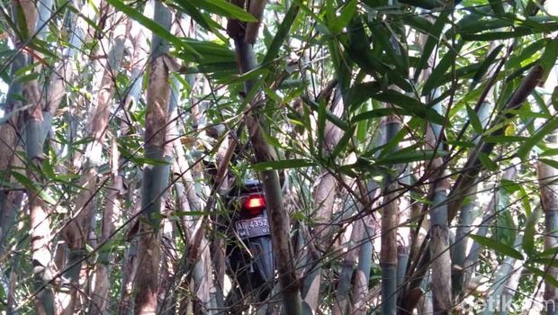 Ada Motor Nyangkut di Atas Bambu di Sleman, Kok Bisa?