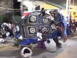 Festival Tahunan di Sri Lanka yang Libatkan Bayak Gajah