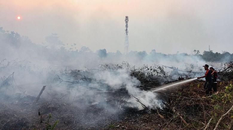 MUI Riau: Pelaku Karhutla Orang Tak Taat Beragama