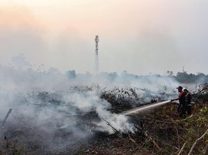 MUI Riau: Pelaku Karhutla Orang Tak Taat Beragama MUI Riau: Pelaku Karhutla Orang Tak Taat Beragama
