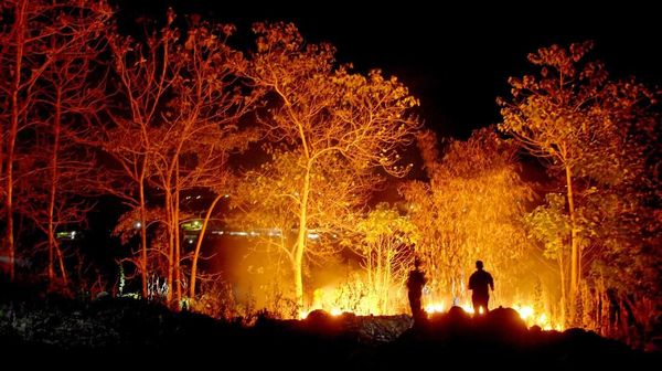 Petugas Berjibaku Padamkan Kebakaran Lahan di Gowa