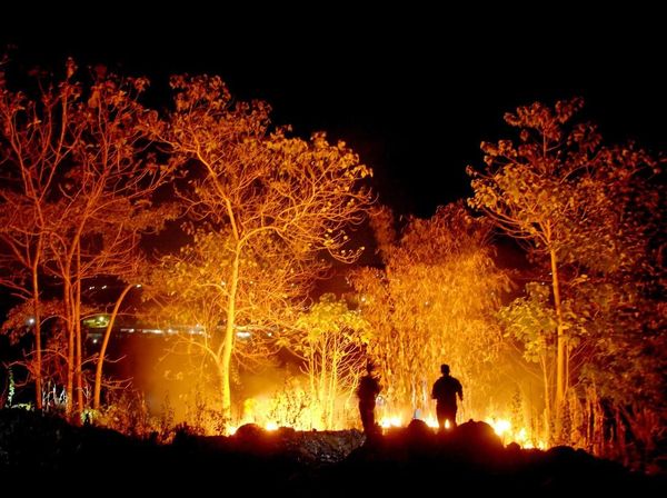 Petugas Berjibaku Padamkan Kebakaran Lahan di Gowa