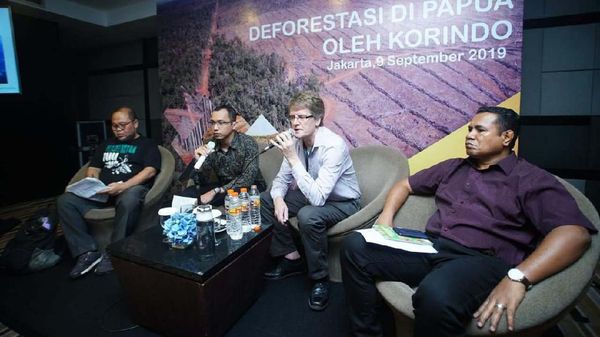 Organisasi Konservasi Alam Ungkap Temuan Deforestasi di Papua