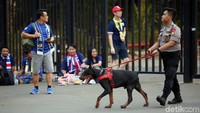 Anjing pelacak turut dikerahkan untuk menyisir area-area di sekitar Stadion Utama Gelora Bung Karno.