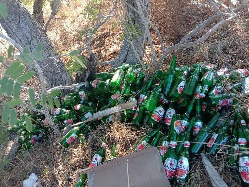 Saat Puluhan Botol Bir Tergeletak Dibuang di Pantai Pink Komodo