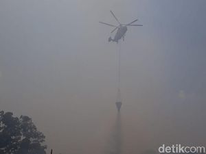 5 Hektare Kebun Tebu di Ogan Ilir Sumsel Terbakar Lagi 5 Hektare Kebun Tebu di Ogan Ilir Sumsel Terbakar Lagi