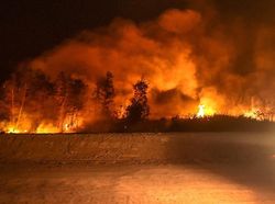 Penampakan Kebakaran Hutan Kepung Tol Palembang-Indralaya