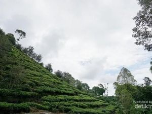 Bentuk Borobudur Ngawi Tak Seperti di Magelang