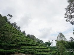 Bentuk Borobudur Ngawi Tak Seperti di Magelang