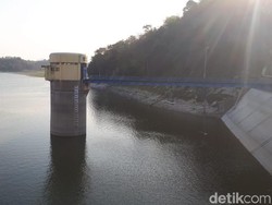 Waduk Pacal di Bojonegoro Surut, Lahan Pertanian di 4 Kecamatan Kekeringan