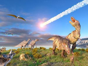 Dinosaurus Punah Bukan Cuma karena Asteroid Dinosaurus Punah Bukan Cuma karena Asteroid