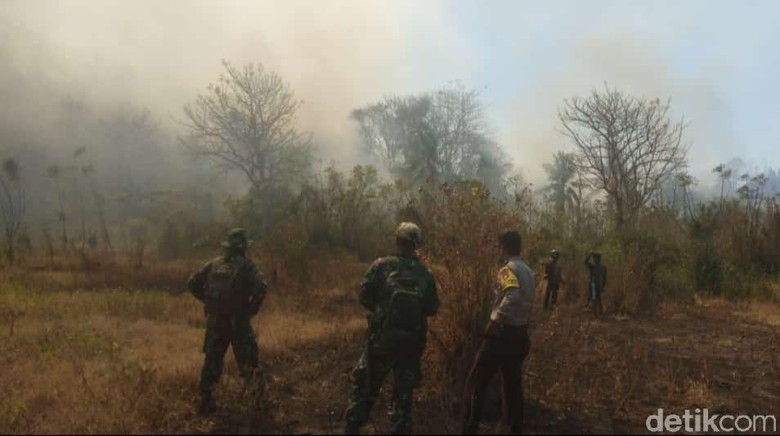 Gara-gara Puntung Rokok, 28 Hektare Lahan di Sulteng Terbakar
