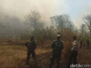 Gara-gara Puntung Rokok, 28 Hektare Lahan di Sulteng Terbakar