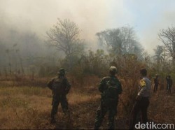 Gara-gara Puntung Rokok, 28 Hektare Lahan di Sulteng Terbakar