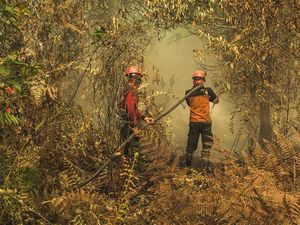 Atasi Kabut Asap dari Indonesia, Malaysia Rencanakan Hujan Buatan