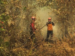Atasi Kabut Asap dari Indonesia, Malaysia Rencanakan Hujan Buatan