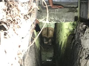 Video PSK Kocar-kacir dan Sembunyi di Got saat Digerebek Satpol PP Video PSK Kocar-kacir dan Sembunyi di Got saat Digerebek Satpol PP