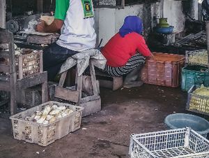 pembuat kripik singkong