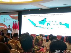 Mau Pindah Ibu Kota, RI Berguru ke Pakar Dunia