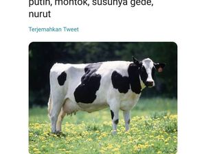 Kocaknya Meme Kriteria Pacar Idaman Versi Dunia Kuliner Kocaknya Meme Kriteria Pacar Idaman Versi Dunia Kuliner