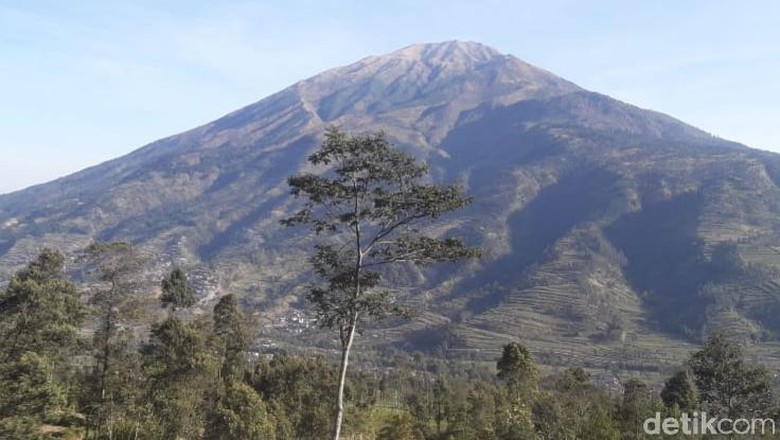 BTNGMb Kirim Tim ke Lokasi Kebakaran di Lereng Gunung Merbabu