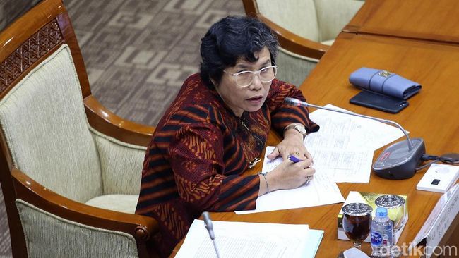 Soal Penyadapan Izin Dewas, Capim KPK Lili: Tidak Pas, Bukan Tak Setuju Soal Penyadapan Izin Dewas, Capim KPK Lili: Tidak Pas, Bukan Tak Setuju