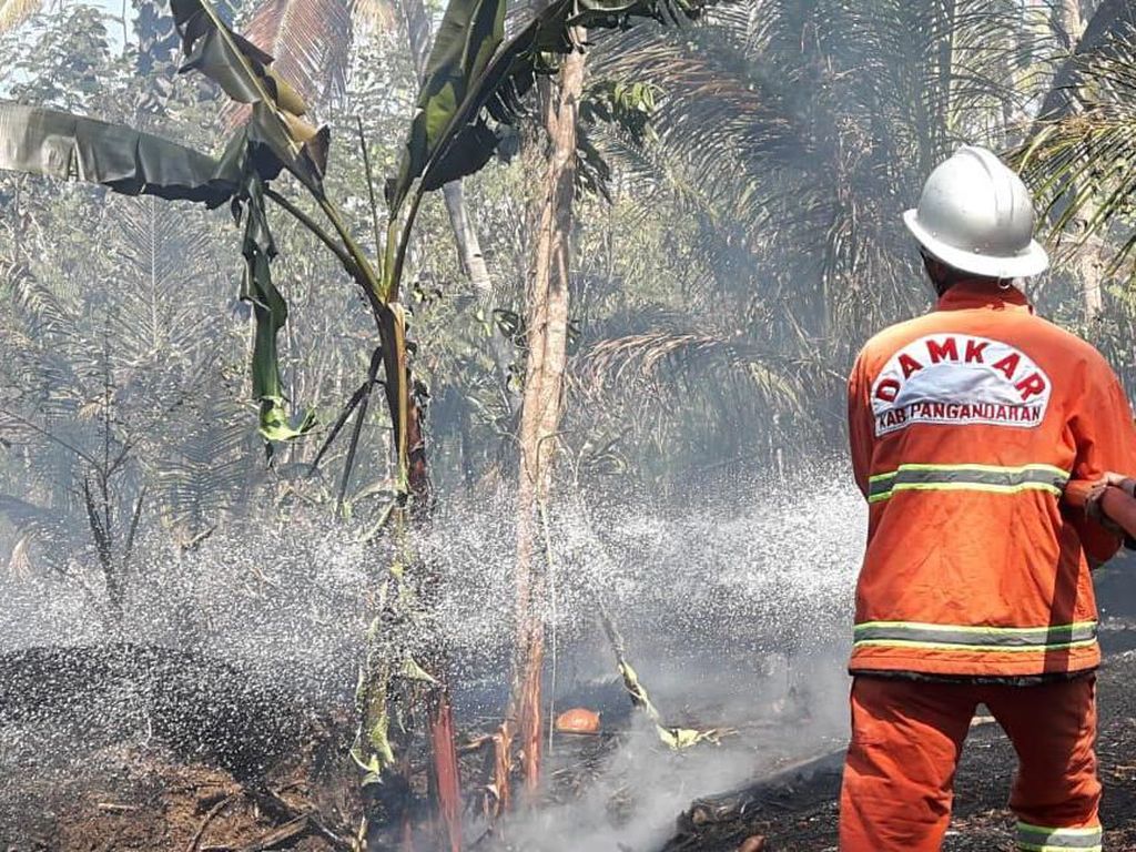 50 Persen Wilayah Pangandaran Kekeringan, Kebakaran Lahan Hantui Warga 50 Persen Wilayah Pangandaran Kekeringan, Kebakaran Lahan Hantui Warga