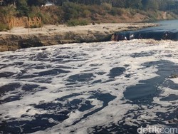 DLHK Jateng Akan Rapat Bahas Tindakan untuk yang Cemari Bengawan Solo