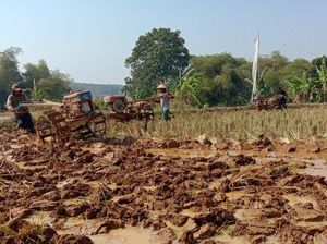 Petani Purwakarta Manfaatkan Bantuan Pompa Tanam Padi