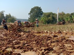 Petani Purwakarta Manfaatkan Bantuan Pompa Tanam Padi