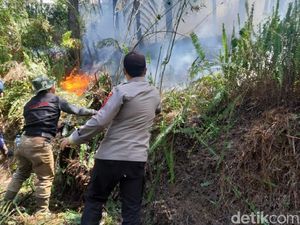 Hutan di Kawasan Gunung Slamet Terbakar Hutan di Kawasan Gunung Slamet Terbakar