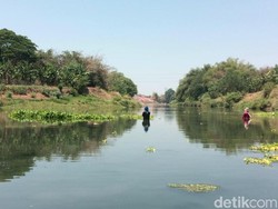 Lagi, Pencemaran Bengawan Solo Ganggu Operasional IPA Semanggi