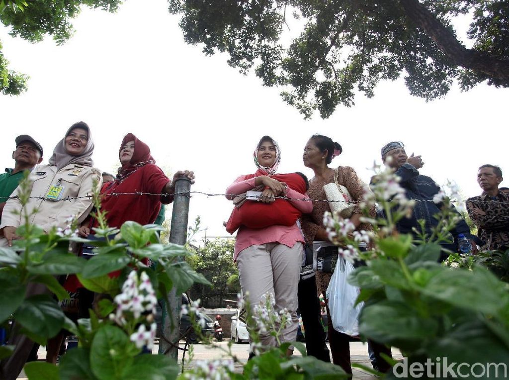 Antusiasme Warga Tunggu Jenazah BJ Habibie ke Peristirahatan Terakhir Antusiasme Warga Tunggu Jenazah BJ Habibie ke Peristirahatan Terakhir