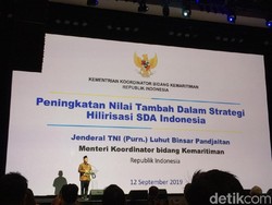 Luhut soal Ekonomi RI: Jangan Ragu, yang Pesimis Itu Loser!