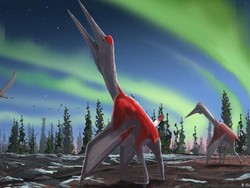 Spesies Baru Dinosaurus Terbang Raksasa Ditemukan di Kanada