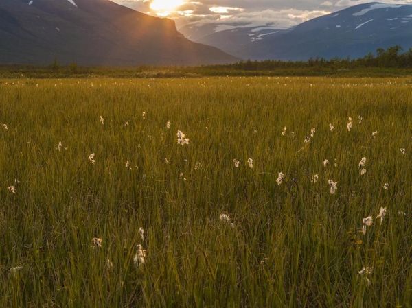 Potret Cantik Lanskap Gunung Swedia yang Ketinggiannya Terus Menurun
