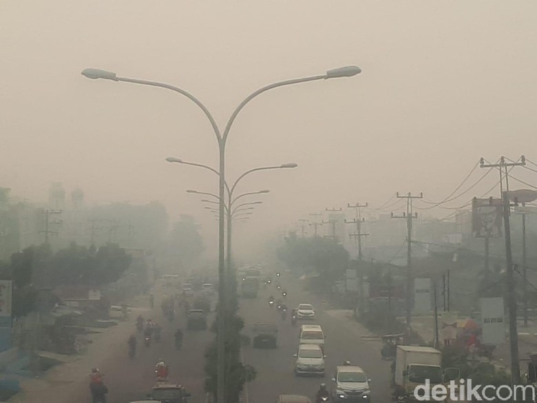 Kabut Asap Makin Pekat di Riau, Jarak Pandang di Bandara Terpengaruh