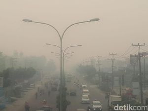 Menagih Janji Jokowi di Tengah Pekatnya Kabut Asap Menagih Janji Jokowi di Tengah Pekatnya Kabut Asap