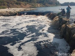 Bengawan Solo Tercemar Parah, Ganjar Koordinasi dengan Khofifah