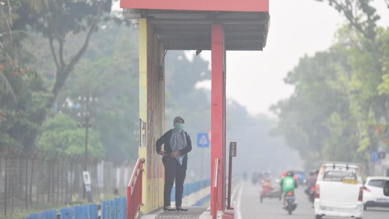 Tips Aman Berkendara Mobil di Tengah Kabut Asap Kebakaran Hutan