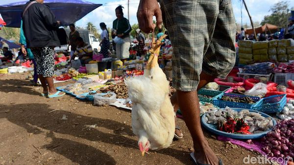 Hiruk Pikuk Pasar Busalangga di Pulau Paling Selatan Indonesia