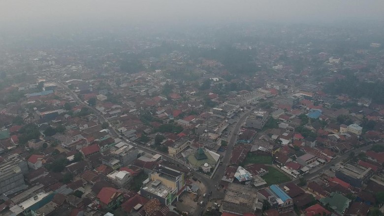 Pembakar Hutan Bermotif Politik Dibidik Penyidik Pembakar Hutan Bermotif Politik Dibidik Penyidik