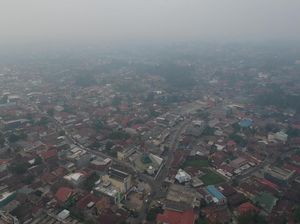 30% Jadwal Penerbangan Per Hari Batal Imbas Kabut Asap